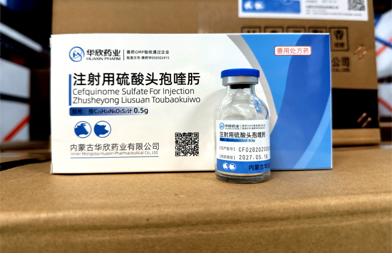 注射用硫酸头孢喹肟